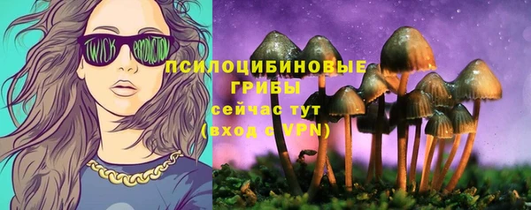 МДПВ Зеленокумск